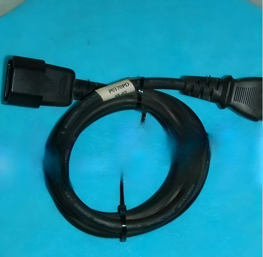 P0170PD Connection Cable - Foxboro